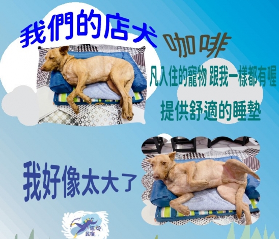 未命名 未命名