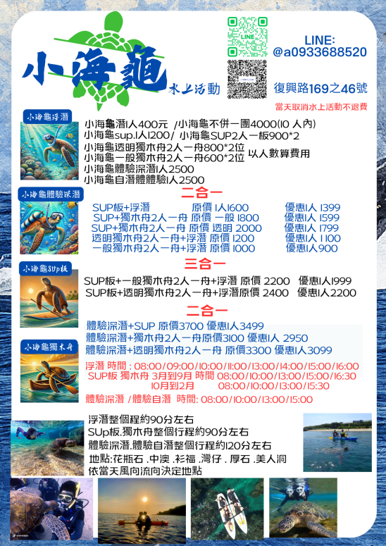 小海龜 (4
