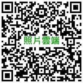 小海龜