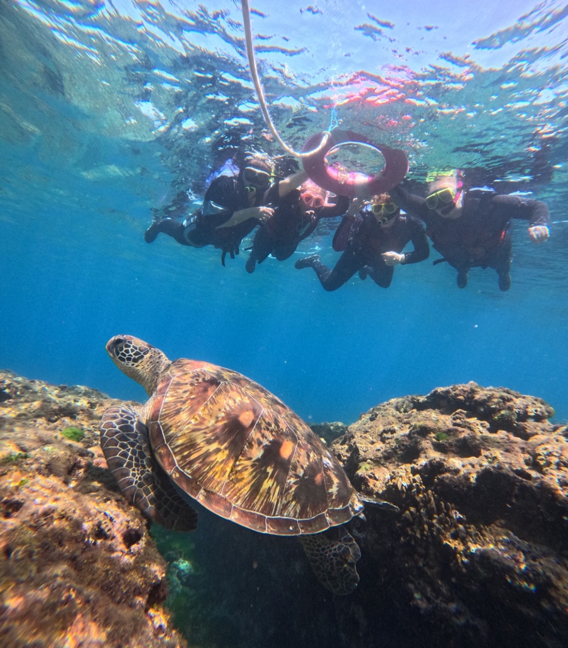 小琉球合團浮潛活動,適合新手與不會游泳旅客體驗海龜共游