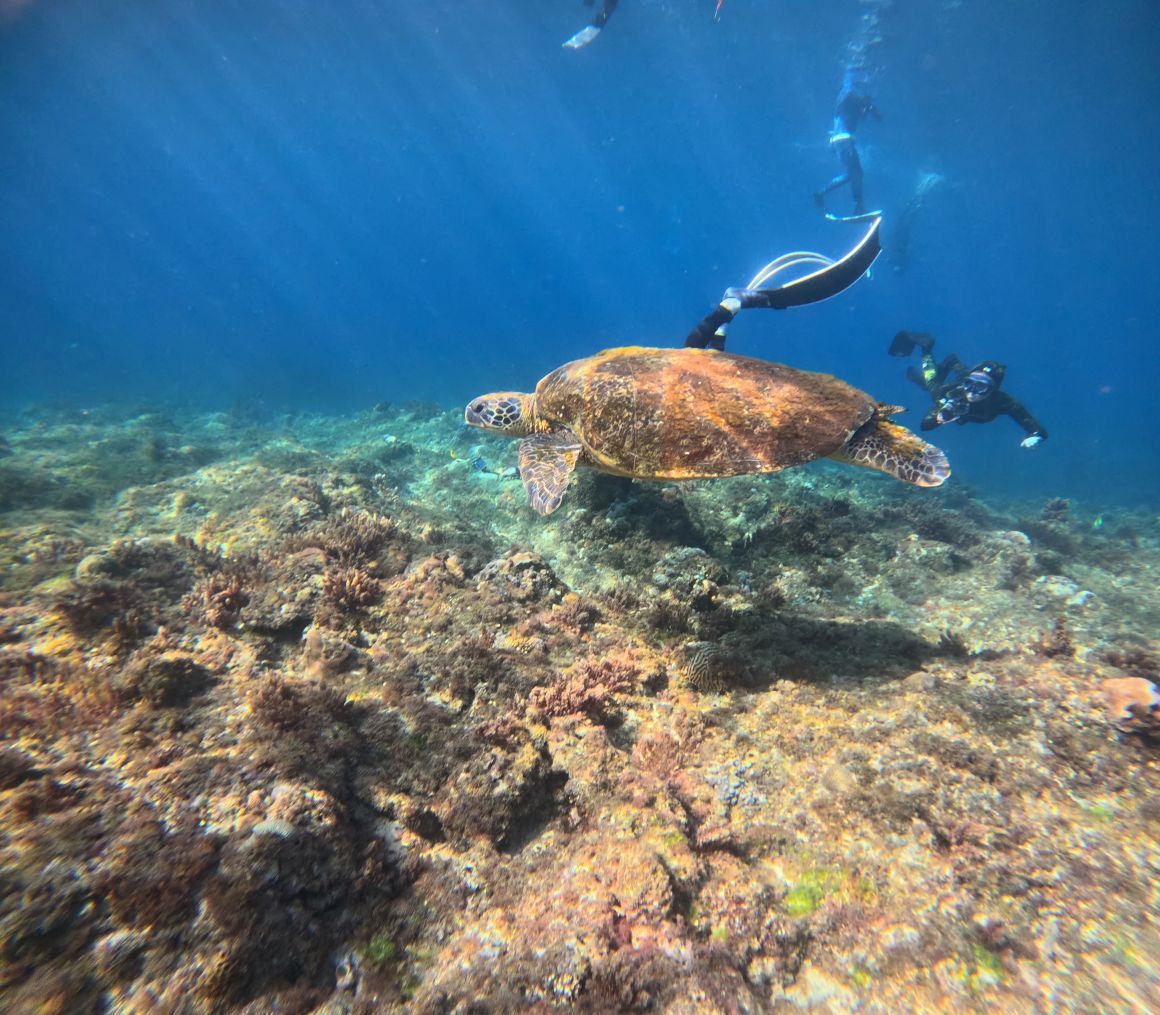 twL_spot_25D28_yhxumq6jg6 twL_spot_25D28_yhxumq6jg6