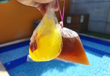 柴燒粉粿