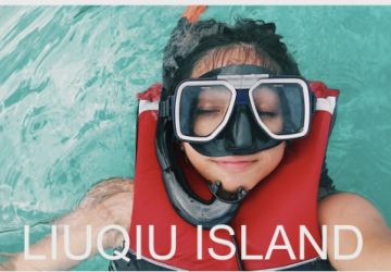 浮潛｜與海龜共游・透明海域夢幻體驗