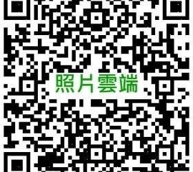 小海龜水上活動｜照片下載專區