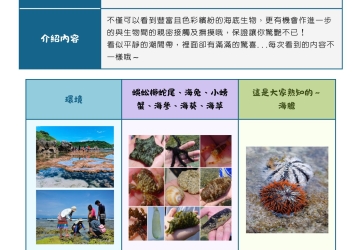 小琉球潮間帶導覽｜今日/明日退潮時間表、梯次與報名（每月更新）｜雲朵家民宿