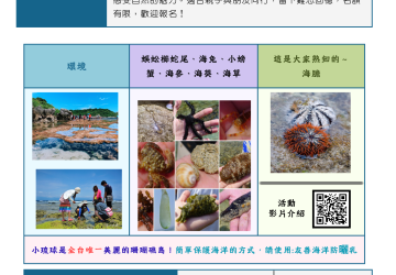 小琉球潮間帶導覽｜今日/明日退潮時間表、梯次與報名（每月更新）｜雲朵家民宿
